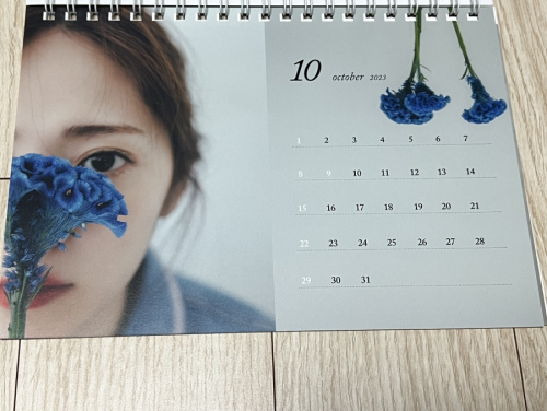 Airi Suzuki 870