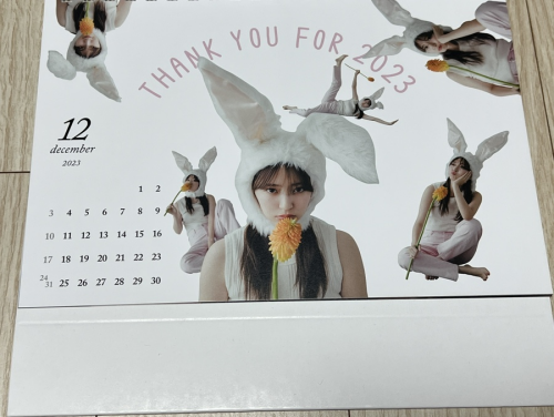 Airi Suzuki 873