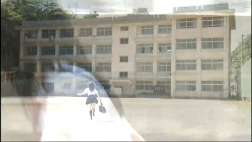 Airi Suzuki 706
