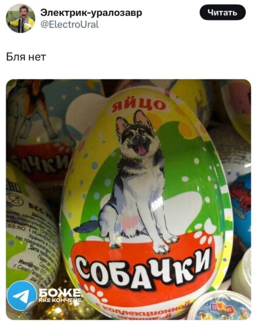 vJmqLr.jpeg