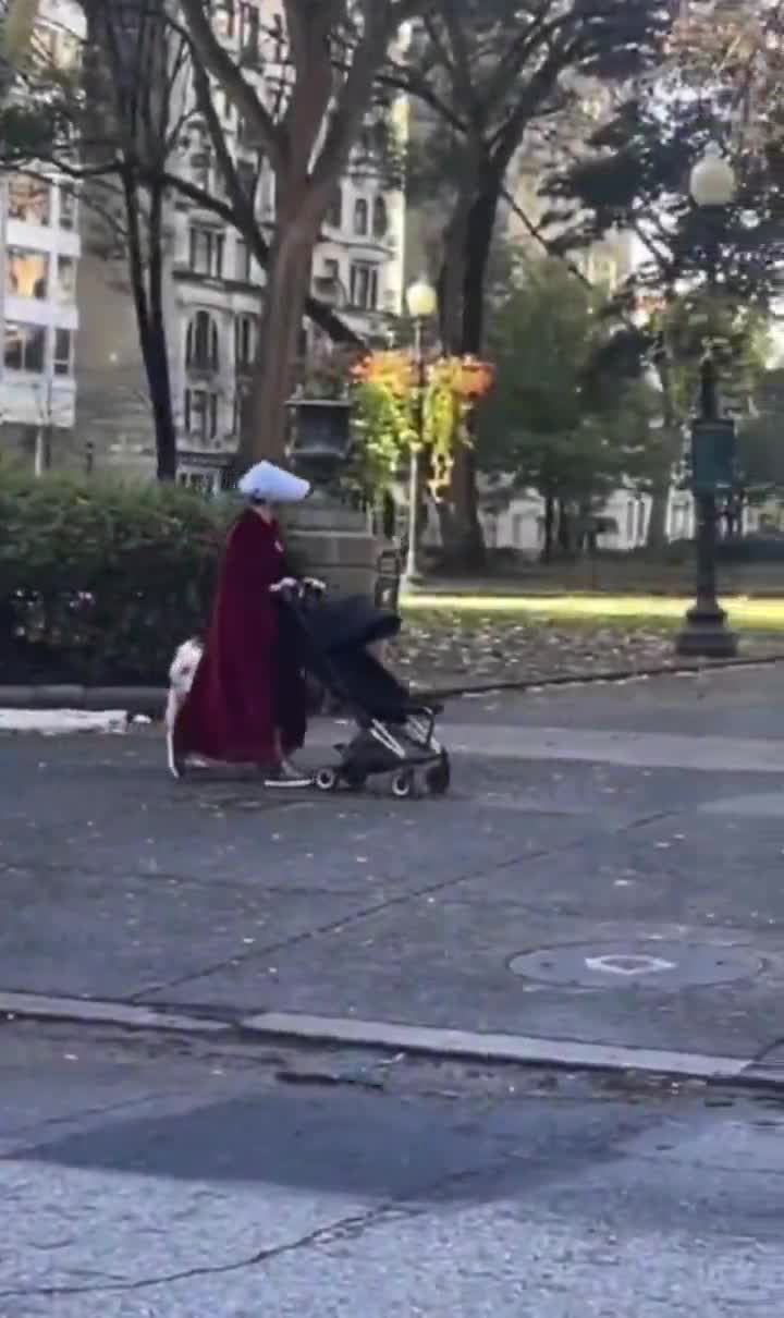 vaAy1c.mp4