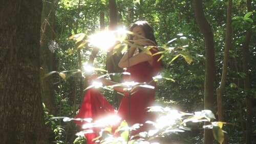 Moemi Katayama 679