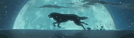 vsHvak.gif