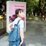 vswshe