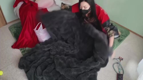 wTO6jb.mp4
