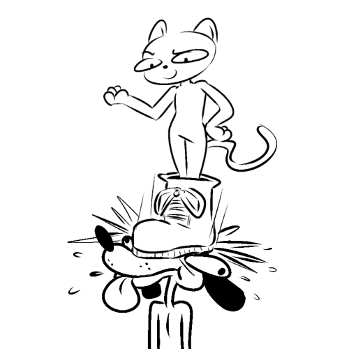 dogcatboot