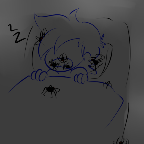 spiders