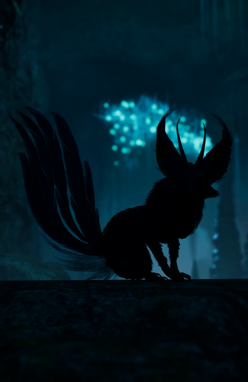 zQPdUr.png