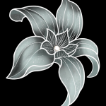 zfP9cP