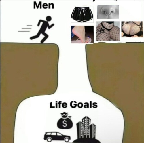 zfaVlr.jpeg