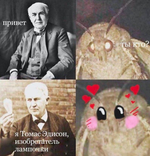 zjQr9i.jpeg