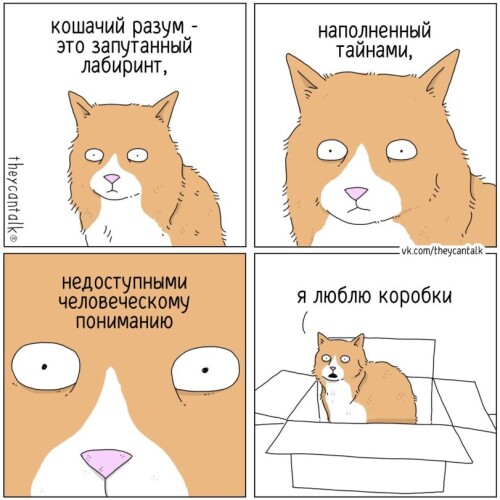 zpZOFx.jpeg