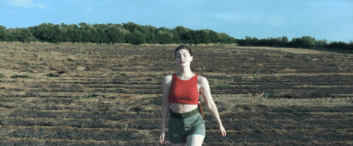 zx5f4b.gif